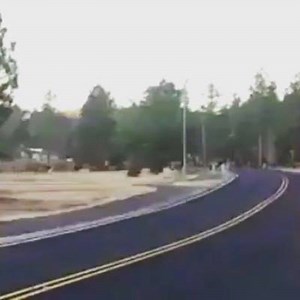 Amazing video posted by a Munds Park viewer. #elkcrossing #mundspark #pinewoodcc | Munds Park