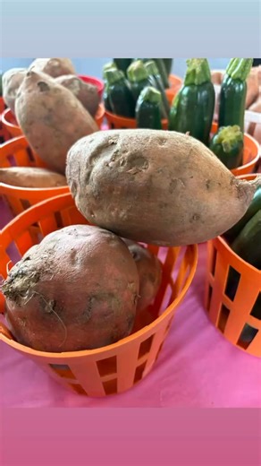 OCL- Orangeburg County Library on Reels