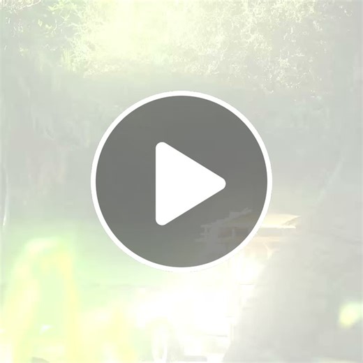 Go on a journey to learn more about the animals that call Disneys Animal Kingdom Theme Park home and the cast members who care for them in Disney Parks Wild Sights, an all-new - NewsBreak