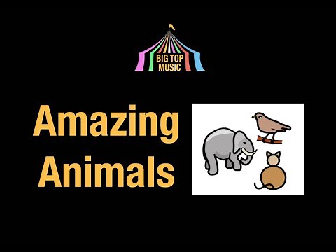 Big Top Music - Amazing Animals
