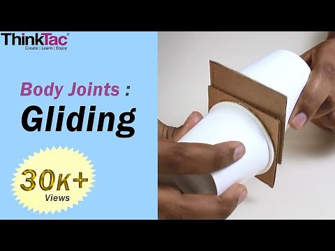 Body Joints - Gliding | ThinkTac