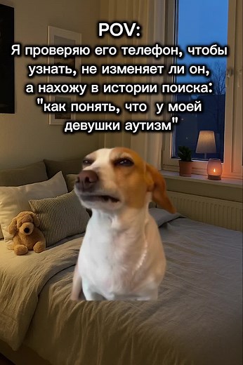 Весёлые моменты с котами: мемы и приколы