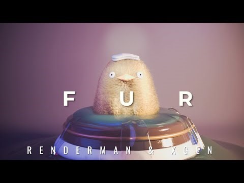 Renderman & XGen - Fur Tutorial