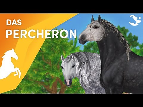 Lerne das Percheron kennen! 💪😎❤️ | Star Stable Pferde