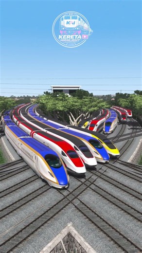 INTENSE MOMENT! Train Stops at Crossing as High-Speed Train Rushes By #train #railcrossing #railway