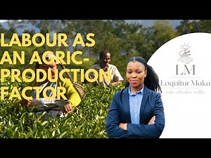 Grade 12 | Labour As An Agric Production Factor | Revision questions included | Agric Sciences