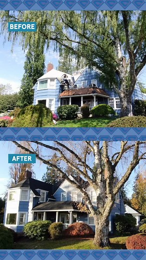 What a difference a new roof makes 🙌 . . . . #newroof #gafgrandsequoia #gaf #gafmasterelite #beforeandafter #roofingcontractor #supportsmallbusiness #edgewoodroofer #roofersofinstagram | Chase Construction North West, Inc. Roofing