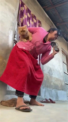 Didi darbaja khulo na🤣🤣🤣🧿🧿🧿