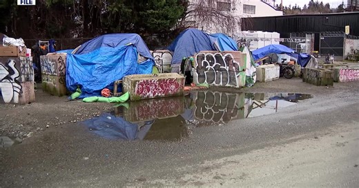 Seattle homeless encampment sweep brings hope, but worries remain