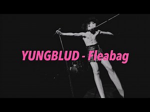 YUNGBLUD - Fleabag 中文歌詞 翻譯 (Lyrics)