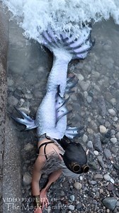 A mermaid looking for fossils on the shoreline of Lake Michigan. This video shows my Mermaid Phantom character looking for Petoskey Stones. In this video, I am wearing my finned "Rebellion" mermaid tail variation of my Phantom character. I have different tails for different purposes. :) #themagiccrafter #mermaid #mermaidphantom #petoskeymermaid #professionalmermaid #michiganmermaid | The Magic Crafter