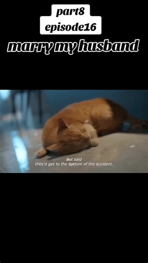 #episode16 #marrymyhusband #marryhusbandkdrama #marrymyhusbandkdrama #fypシ゚viral #kdramalovers❤🇰🇷 #thefinale