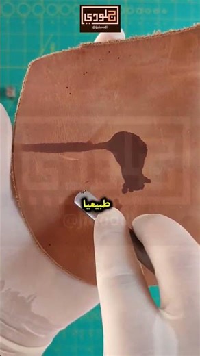 هل تعرف كيف تميز بين الجلد الطبيعي والجلد الصناعي؟