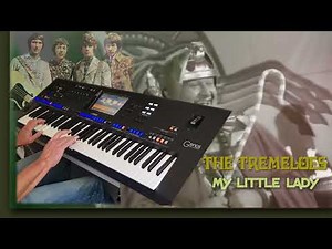 My Little Lady - The Tremeloes Cover.