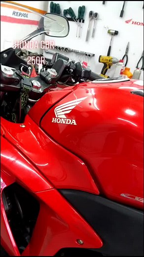 Daniel Vela on TikTok