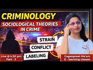 Criminology: Sociological Theories of Crime Explained | Strain, Conflict & Labeling Theory |