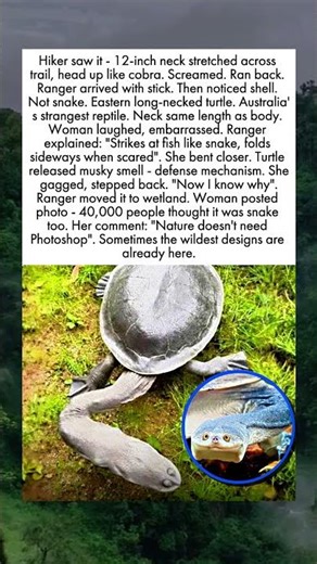 Woman Screams At Snake Then Realizes Her Mistake