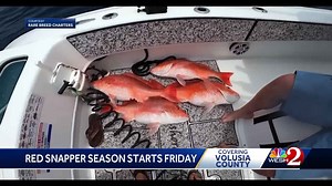 Florida anglers brace for crowded red snapper season