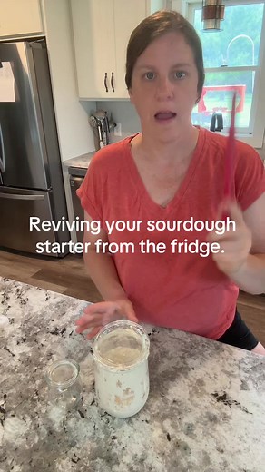 Reviving Your Sourdough Starter from the Fridge: Simple Steps