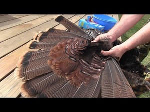 How To Make A DIY Turkey Fan Mount