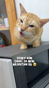 Sorry uncle fi 🥺 | Moma Reny-Ann