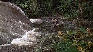 The.Emerald.Forest.1985.FRENCH.SUBFORCED.DVDRIP.XVID.AC3-S.V.film-streamingvfhd.com