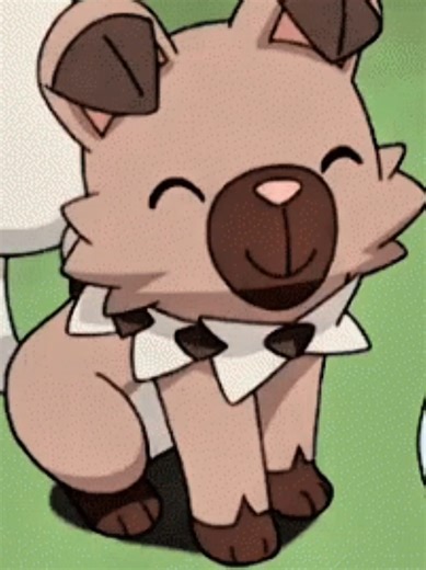 Rockruff is so adorable 🥰😍 #rockruff #pokemon #pokemontiktok #edit #pokemonanime