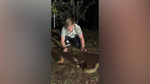 Steve Irwin's son nearly bitten on face by python
