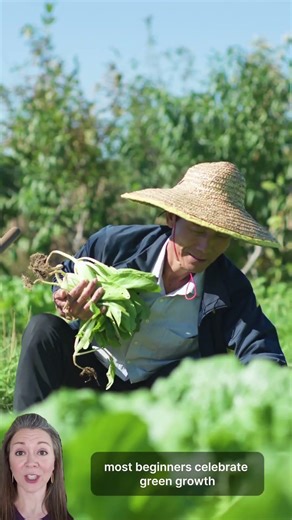 You’re Growing Leaves, Not Food (Fix This to Get More Fruit!)