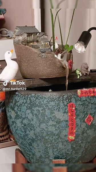 Escape from the Fish Tank: Hilarious Turtle Moments!