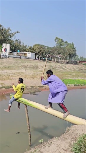 To support a banana tree with a pole