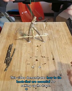 Creating Effective Traps Using Basic Materials | Party Poppers | Facebook