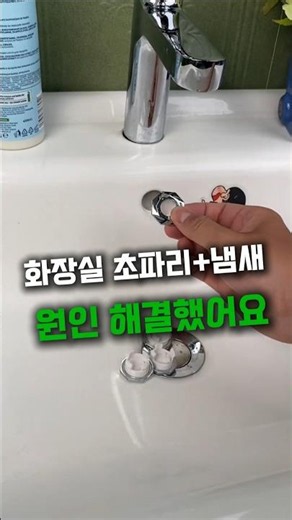The Ultimate Fix for Bathroom Odors and Drain Flies