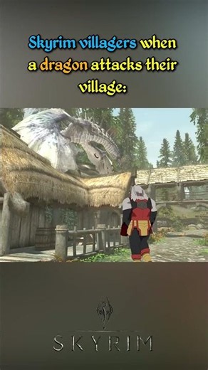 Skyrim - Relatable and Funny pt173