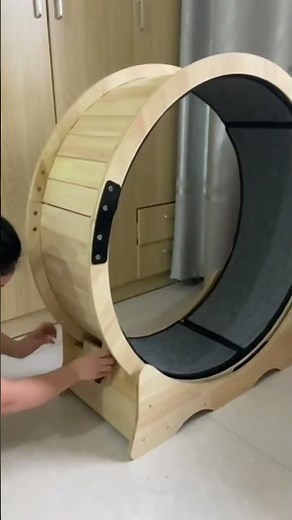 Cat Treadmill in Action | Smart Pet Fitness Gear