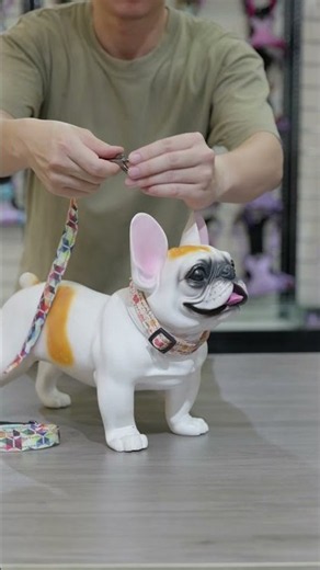Matching Pet Collection 💜 | Harness, Leash & Collar Set