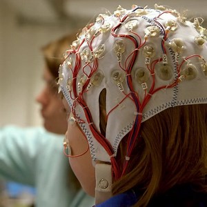 6.5K views | Join the rapidly growing fields of cognitive science, neuroscience and psychology with a Macquarie degree. | Macquarie University | Facebook