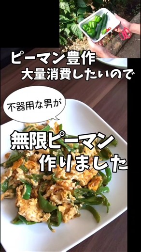 不器用な男でも作れる「無限ピーマン」ピーマン大量消費に！家庭菜園 ピーマン豊作 男飯 男の料理 簡単 時短 タイパ クッキング