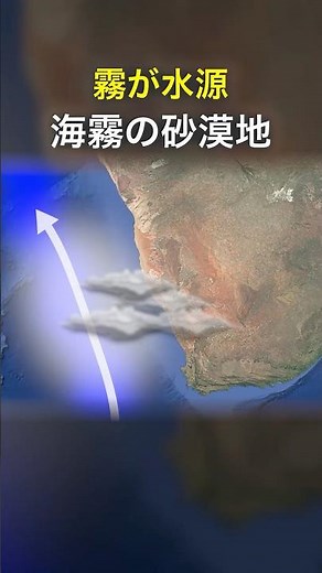 The Namib Desert, a World Heritage Site, where mist is the source of water