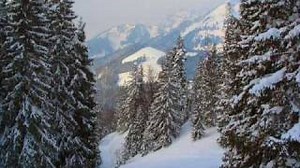 Between the Buried and Me - Selkies: The Endless Obsession Chords *FULL SONG - ChordU