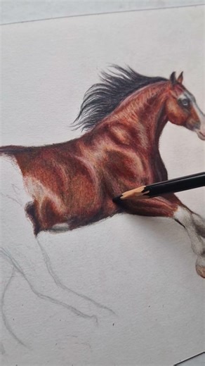 Just me, the paper and a cool stallion drawing i have now finished.