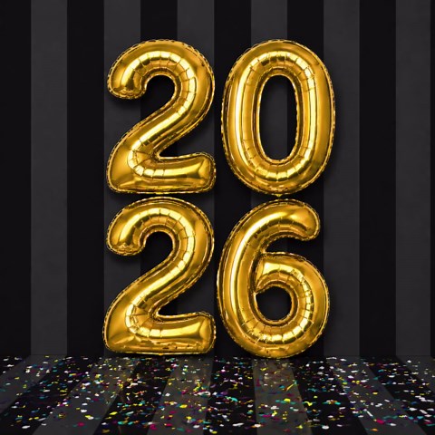 Graduation Backdrop Bundle PNG, 2026 School Grad Photo Background, 10 Digital Backdrops 14x14, Kindergarten Preschool - Etsy