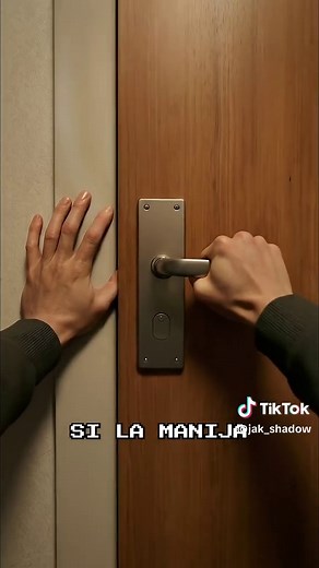 Descubre la Puerta Correcta en el Misterio de Jak Shadow