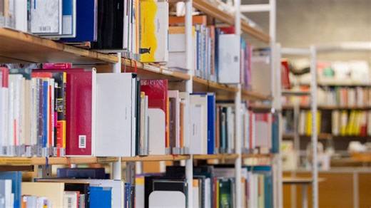 Illinois public libraries to receive $27M for improvements, literacy programs