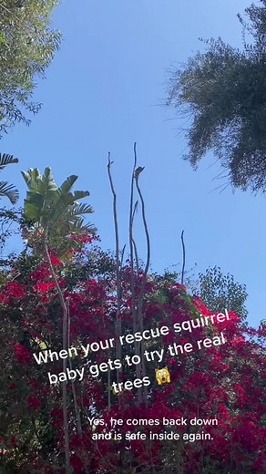 skold (@tim_skold)’s videos with original sound - skold