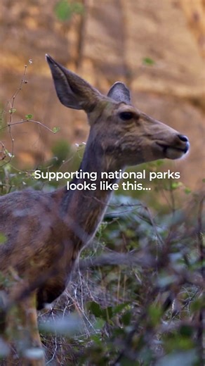 You don't have to go far to find something remarkable. Explore America with up to 20% off* selected small group trips. | Intrepid Travel