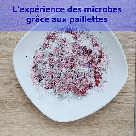 L'expérience des microbes