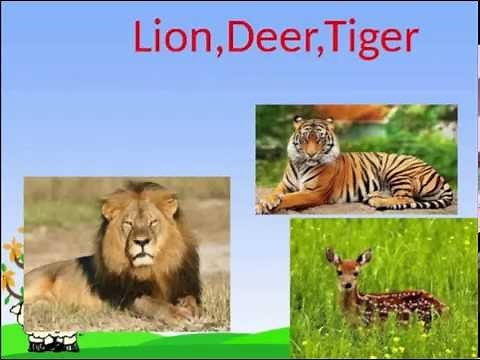 Animals around us-class 1