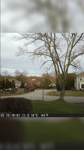 Winter’s Embrace: 4K Snowy Time-Lapse (Nov 30 - Jan 4) | Relaxing Nature & Winter Scenery