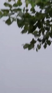 Just look at Niagara Falls | Ed Bassmaster